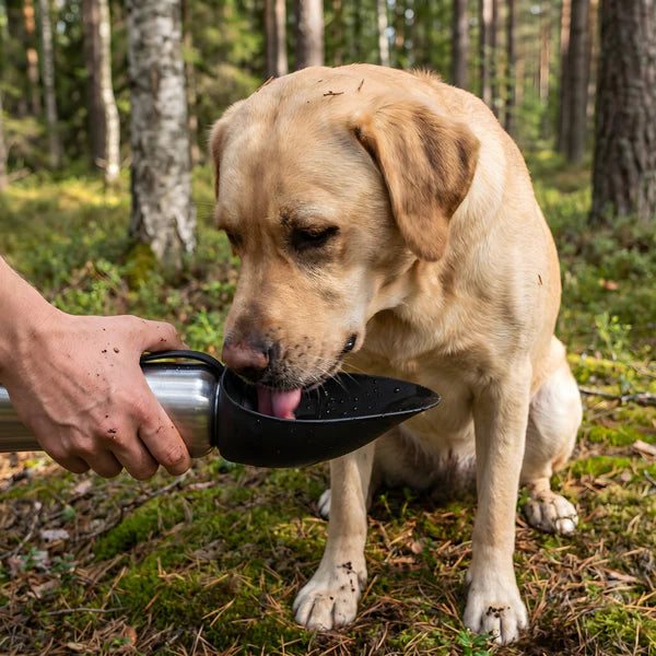 PawSipDog - Insulated Dog Water Bottle with Flip-Out Bowl (Stainless Steel)
