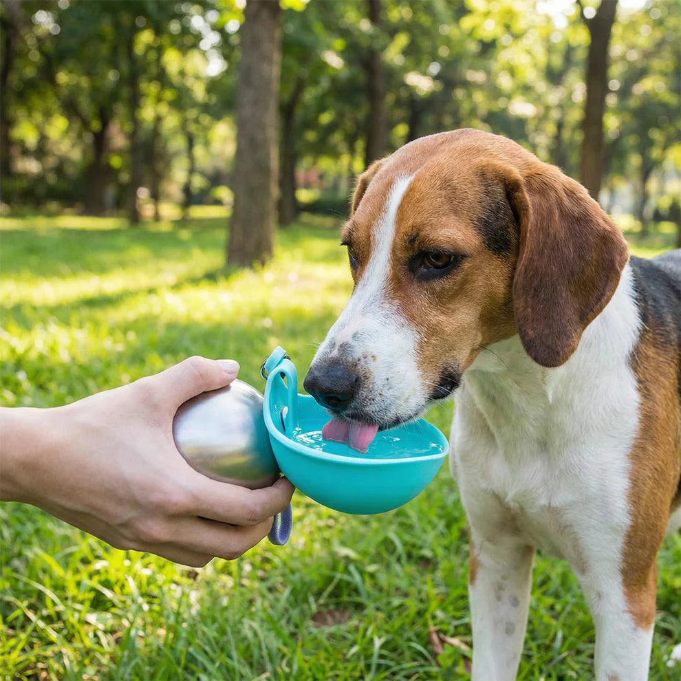 (Original product) Portable Stainless Steel Water Bottle Travel Bowl for Dogs